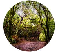 tickit Forest Discovery Play Mat - Sensory Toy Mat for Imaginative Woodland Adventures - Waterproof, Durable & Easy to Clean - Perfect for Sensory Exploration, Early Years Learning & Gifting