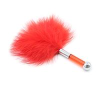 Tickling Sexy BDSM Sexy Feather Stick Erotic Torture Tool Teasing Feather Stick Bed Sensory Toys (Red)
