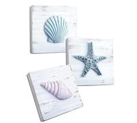 TideAndTales Beach Theme Seashell Wall Decor (Set of 3) | Shells and Starfish Wall Decor for Bathroom, Bedroom or Living Room | Rustic Coastal Decor | Ocean Inspired Beach Decorations