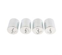 Tidgel 4PCS 200g Calibration Weight Set, Chrome Plated Steel with Double Hook for Balance Testing in Lab and Classroom Teaching