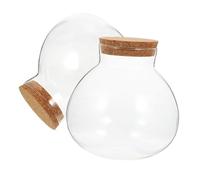 TIDTALEO 2pcs Clear Glass Spherical Terrarium Bottles with Cork Stoppers Moss Plant Containers for DIY Micro Landscape Reusable Ecological Display Jars for Home Office Decoration