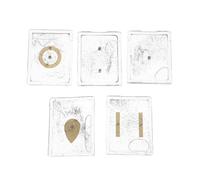 TIDTALEO 5 Sets Physics Education Kit Magnetic Field Demonstrator with Iron Filings Box for Tangible Electric and Magnetic Field Visuals, Plastic Material, for Student Classroom Science