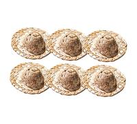 TIDTALEO 6Pcs Miniature Straw Hats for Cocktail Glasses Cute DIY Party Decorations Tiny Woven Hats for Bar Ornaments and Food Decor for Themed Events and Celebrations