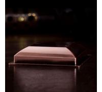 TIDTALEO Alloy Buddhist Offering Plate Multi-use Sacrificing Dish for Temple Fire Rituals Exorcising Evil Spirits and Health Protection Decorative Tray Gift for Buddhist Devotees