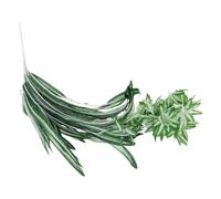 TIDTALEO Faux Plant Chlorophytum Pendant Green Plastic Handmade Comfortable to The Touch Simple Chic Room Chlorophytum Pendant for Garden Decoration