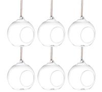 TIDTALEO Glass Terrarium Hanging Vase for Home Decor, 6Pcs Micro Landscape Glass Plant Holders with Hydroponic Water Culture, for Indoor Hanging Plant Display and Stylish Home Decoration