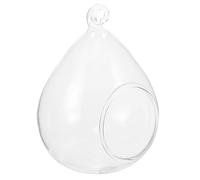 TIDTALEO Hanging Glass Globe Planter 13.5Cm for Succulent and Air Plants, Glass Terrarium with Large Opening, Decorative Hanging Micro Landscape Pot for Indoor Garden