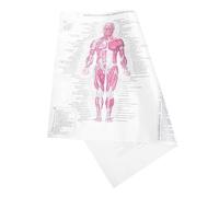 TIDTALEO Human Anatomy Poster 40x60cm Educational Skeleton and Muscular System Chart Office and Classroom Decor Science Teaching Wall Art