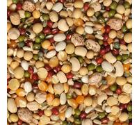 Tidymix Pulse & Rice Soaking Premium Parrot Food (1 kg), Parrot Seed