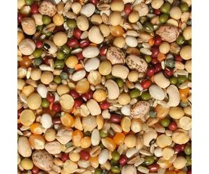 Tidymix Pulse & Rice Soaking Premium Parrot Food (1 kg), Parrot Seed