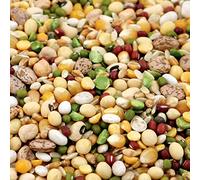 Tidymix Pulse & Rice Soaking Premium Parrot Food (2 kg) - For Medium to Large Birds