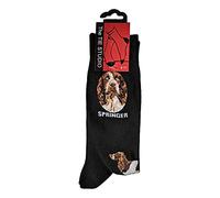 Tie Studio Springer Spaniel Dog Unisex Novelty Ankle Socks Size 6-11