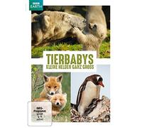 Tierbabys - Kleine Helden ganz groß