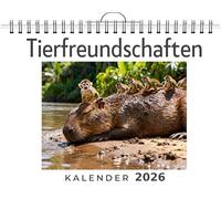 Tierfreundschaften: Wandkalender 2026, Kalender DIN A4 quer, Monatskalender im Querformat mit Kalendarium, das perfekte Geschenk