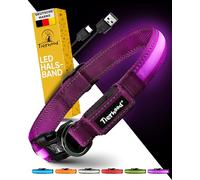 Tierhood Luminous Dog Collar - Luminous Collar for Small and Large Dogs - LED Dog Collar Rechargeable - Durable, Weatherproof and Comfortable - Ideal for Night Walks - Purple, Size M