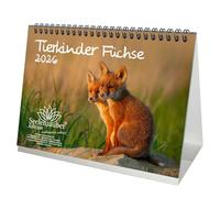 Tierkinder Foxes DIN A5 Desk Calendar for 2026 Fox and Foxes - Set Contents: 1 x Calendar, 1 x Christmas Pendant, 1 x Greeting Tag (total 3 pieces)