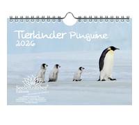 Tierkinder Penguins DIN A5 Calendar for 2026 Penguin Gift Set Contents: 1 x Calendar 1 x Christmas Pendant 1 x Greeting Tag (Total 3 Pieces)