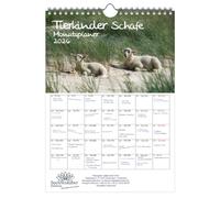 Tierkinder Sheep Planner DIN A4 Calendar for 2026 Sheep and Lambs - Set Contents: 1 x Calendar, 1 x Christmas Pendant, 1 x Greeting Tag (Total 3 Pieces)