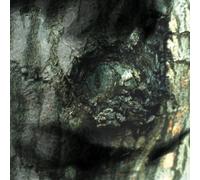 Yann Tiersen – Waltz of the Monsters – CD