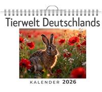 Tierwelt Deutschlands: Wandkalender 2026, Kalender DIN A4 quer, Monatskalender im Querformat mit Kalendarium, das perfekte Geschenk