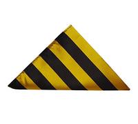 TIES R US Black and Gold Striped Pocket Square
