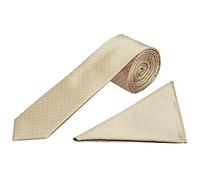 TIES R US Champagne and White Polka Dot Skinny Men's Tie Handkerchief Set