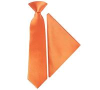 TIES R US Pre Tied Burnt Orange Satin Boys Tie and Pocket Square Set Age 4-7