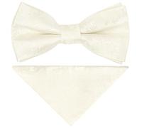 TIES R US Pre Tied Ivory Paisley Boys Bow Tie and Pocket Square Set