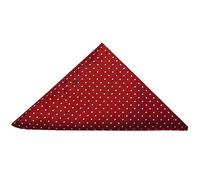 TIES R US Red and White Polka Dot Pocket Square