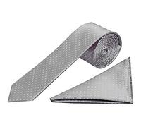 TIES R US Silver and White Polka Dot Skinny Boys's Tie and Handkerchief Set