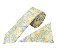 TIES R US Yellow and Blue Paisley Skinny Mens Tie and Pocket Square Set
