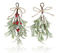 TIESOME Christmas Mistletoe Decor, 2 Pcs Artificial Mistletoe Ornament Mistletoe Hanging Decorations Glitter Christmas Tree Accessories Artificial Dry Leaf Hanging Decoration for Tree Door(Red+White)