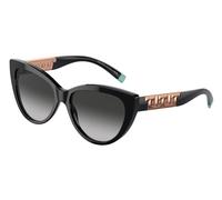Tiffany & Co. TF4196 80013C Womenâs Sunglasses Black Size 56