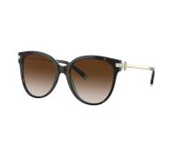 Tiffany & Co. Woman Sunglass TF4193B - Frame color: Havana On Tiffany Blue, Lens color: Brown Gradient