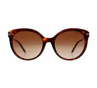 Tiffany Cat Eye Havana Brown Gradient Tf4189 Brown One Size