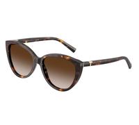 Tiffany Woman Tiffany TF4251 80153B Sunglasses Acetate Turtle Brown Cat Eye Normal Nuanced
