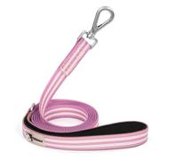 Tiffpaws 6ft PVC Long Leash - Waterproof Training Dog Leash for Recall, Swimming, Camping, Beach, Hunting, Walking (Purple & White Stripe, 6FT*1" W)