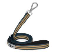Tiffpaws 6ft PVC Long Leash - Waterproof Training Dog Leash for Recall, Swimming, Camping, Beach, Hunting, Walking (Blue & Orange Stripe, 6FT*1" W)