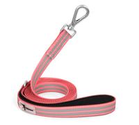 Tiffpaws 6ft PVC Long Leash - Waterproof Training Dog Leash for Recall, Swimming, Camping, Beach, Hunting, Walking (Pink & Grey Stripe, 6FT*0.78" W)