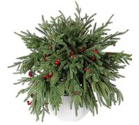 Tifuly 42 Heads Artificial Pine Branches,Real Touch Christmas Foliage,Norfolk Stem with Red Berry,Evergreen Pine Branches,Holly Stem,Fake Christmas Tree Picks for Home Decor(6Pcs)