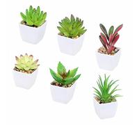 Tifuly 6 Pcs Artificial Potted Succulent Plants, Realistic Small Succulents Fake Greenery Mini Simulation Plant with Melamine White Pot for Home Office School Decoration (Combination 3)