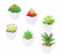 Tifuly 6 Pcs Artificial Potted Succulent Plants, Realistic Small Succulents Fake Greenery Mini Simulation Plant with Melamine White Pot for Home Office School Decoration (Combination 2)