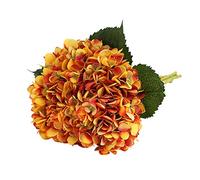 Tifuly Silk Artificial Hydrangea 5Pcs Vintage Orange,18.5" Long Realistic | Fake Single Hydrangea Long Stem 6.6in Flower Head, Warm Floral Arrangement for Harvest Thanksgiving Autumn Home Wedding Decor