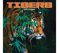 Tiger 2025 Calendar