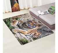 Tiger 3D printed Carpet Floor Mat for Living Room and Bedroom Home Decoration Non-Slip Floor Mat Animals Nature Area Rugs for Room Decor Doormats Crawling Mat（120x160）