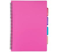 Tiger A4 project notebook (4 subjects) with plastic cover x 1 single book