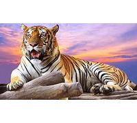 Tiger and Colorful Clouds Pattern Puzzle,Adult Puzzle,Paper Puzzle,1000 Piece Puzzle for Adults26x38cm