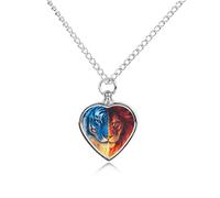 Tiger And Lion in Flames Dog Urns Jewelry Necklace Pet Ashes Memorials Necklaces Alloy Keepsake for Men Women