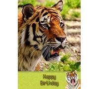 Tiger Birthday Card