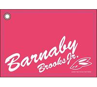 TIGER & BUNNY - The Rising - Bernaby Brooks Jr. Synthetic Pass Case